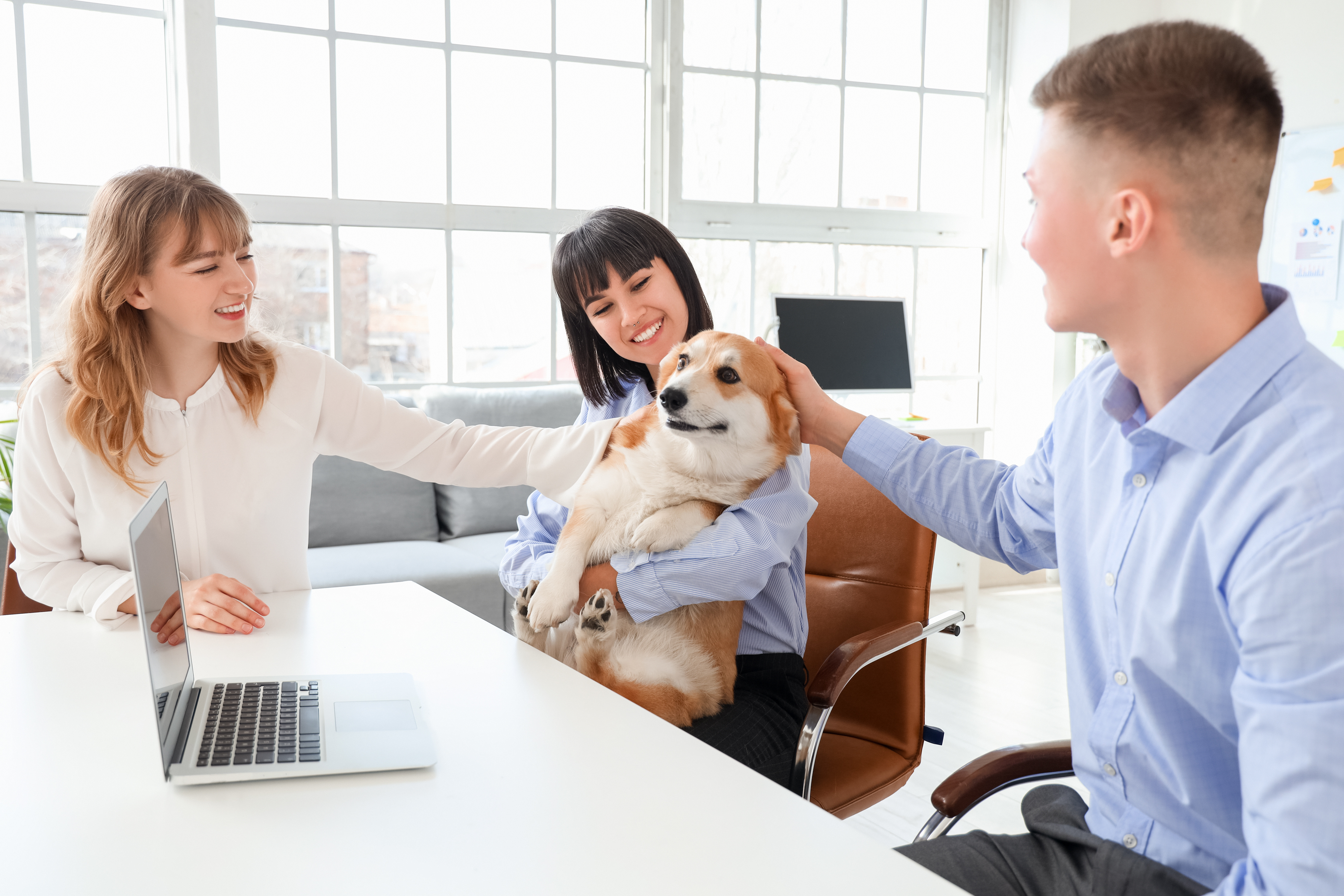 El “efecto mascota”: la nueva fórmula de bienestar en las empresas